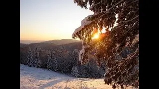Winter in the Carpathians Relaxation Video & Soothing Music Carpathian Mountains in Ukraine