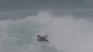 Lachie DMC vid