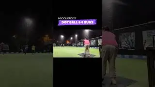 Dot Ball & 6 Runs | Indoor Cricket Highlights #cricket #shortsfeed #foryou #shorts