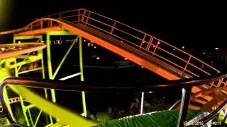 wild mouse