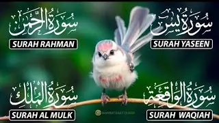 Heart Touching Tilawat by Sheikh Abdul Rahman Al Sudais | Masjid Al Haram 🍁