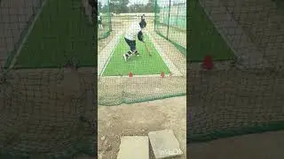 net practice session video #cricket #cricketbatting #videos #trending #reelsinstagram