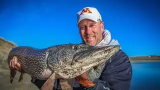Big Bear Outdoors- SD Pre-Spawn Pike