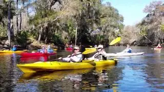 Kayaking - Steinhatchee River (TDC Video)