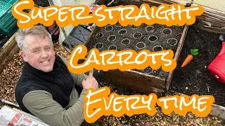 How to ALWAYS grow straight carrots 🥕