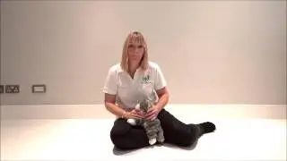 Choking Cat - What to Do | First Aid for Pets