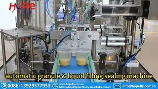 automatic granule & liquid filling sealing machine