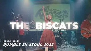The Biscats - Gamba rockabilly (live video) (rumble in seoul 2025)