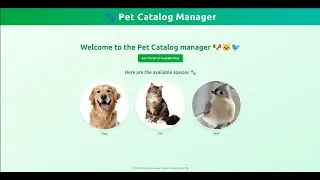 Pet Catalogue Manager | Laravel 12 CRUD App with TailwindCSS & Chart.js | Gharbi Yassine
