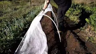 Planting Kale In The Mini Hoop House