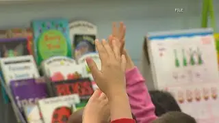 Local lawmaker introduces Ohio version of so-called 