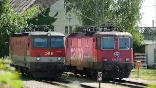 SBB, &Ouml;BB und DB AG auf der Insel: Br 218, Br 1144 und Br 421 mit EC und IC in Lindau