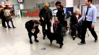 Midge Munich Airport Dog