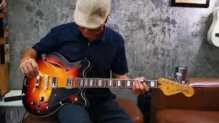 Fender Coronado II