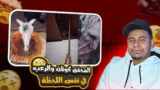 حسابات غريبه ومرعبه في التيك توك:حورية البحر تسوي الترندات