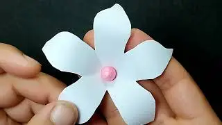 How To Make Easy Paper Flower/DIY Beautiful Paper Flower#craft#new#shorts#trending#viral#short#diy 🌹