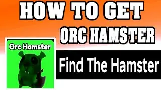 How To Get ORC HAMSTER in FIND THE HAMSTER ROBLOX [walkthrough] [UPDATE] [2026]