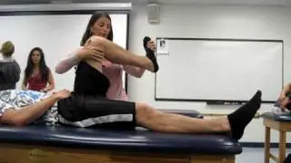 CSUF: D1:D2 flexion/extension