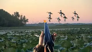 Duck Hunting 2023! Iowa Early Teal 3 MAN LIMIT with MASSIVE FLOCKS OF TEAL!