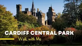 Roomozy's Central Park Cardiff Walkthrough: Discovering the Natural Beauty of the City
