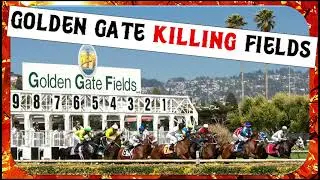 MEMORIAL 🌹 FOR 5 @GoldenGateFields DEATHS, fall 2023 @DirectActionEverywhere #horseracing
