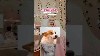 GLOW UP DIARIES (часть 1) 🎀🦷 артикулы ищите в закреплённом комментарии #глоуап #glowup #glowuptips