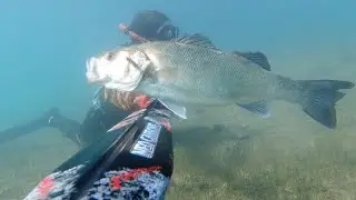 Spearfishing Passion -NeoCarbone- 