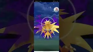 I Beat GIOVANNI SHADOW ZAPDOS Pokemon GO