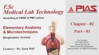 Respiratory System | Part 01| Chapter 02 | Elementary Anatomy & Microtechniques | PIAS