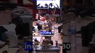 Joe Rogan: bone wars and dinosaur wars