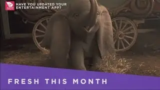 Virgin Australia In-Flight Entertainment - July