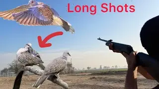 Wild Bird Hunting Open Sight Cometa air gun