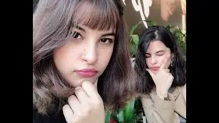 The life of Twins