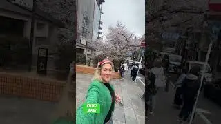 #kyoto2025 #japan2025