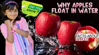 50 Interesting facts and information about apples | facts and benefits of apple | apple fun facts