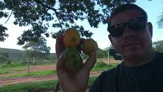 Camping municipal de tr&ecirc;s Marias 