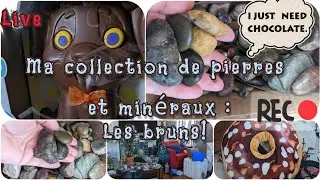 Ma gigantesque collection de min&eacute;raux exposed! Les jaspes bruns, suite #2  (ASMR)