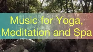 Meditation Music , Yoga Music, Zen , Sleep ,Relaxing Music, SPA