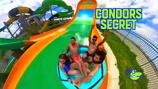 Escape the Heat at Wet N' Wild!