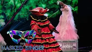 Dressed Crab sings 
