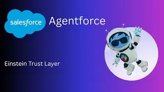 Einstein Trust Layer
