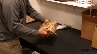 Greenwave 410 & 430 Cardboard Perforator by Formax