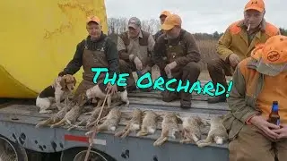 Rabbit Hunting Adventures: At The Orchard.
