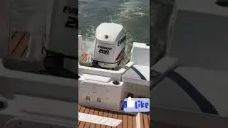fuoribordo evinrude 200cv #nature #perte #passion #mare #barca #barche #fishing #pesca #raid