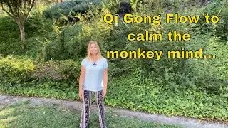Qi Gong to calm the monkey mind