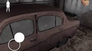 Эксперимент убил паука гренни