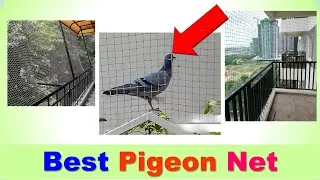 Best Pigeon Net in India 2025 | PIGEON NETTING - सबसे अच्छा कबूतर जाली