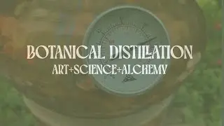 Botanical Distillation: Art, Science, Alchemy. Our New Online Course- Launches Spring 2026!
