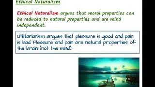 Meta Ethics - Naturalist and Non Naturalist theories