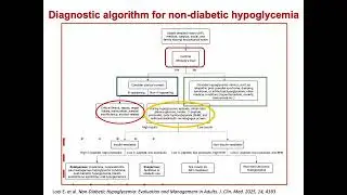 Spontaneous hypoglycemia: Part 6 of Hypoglycemia Series